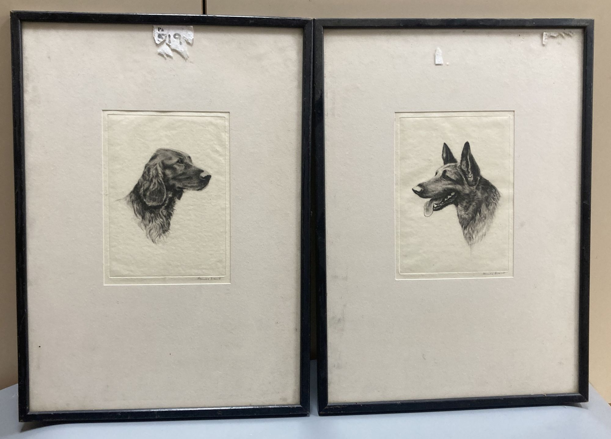 James Grant, pair of drypoint etchings, British Favourites - Irish Setter and Alsatian, signed in pencil, 15 x 11cm